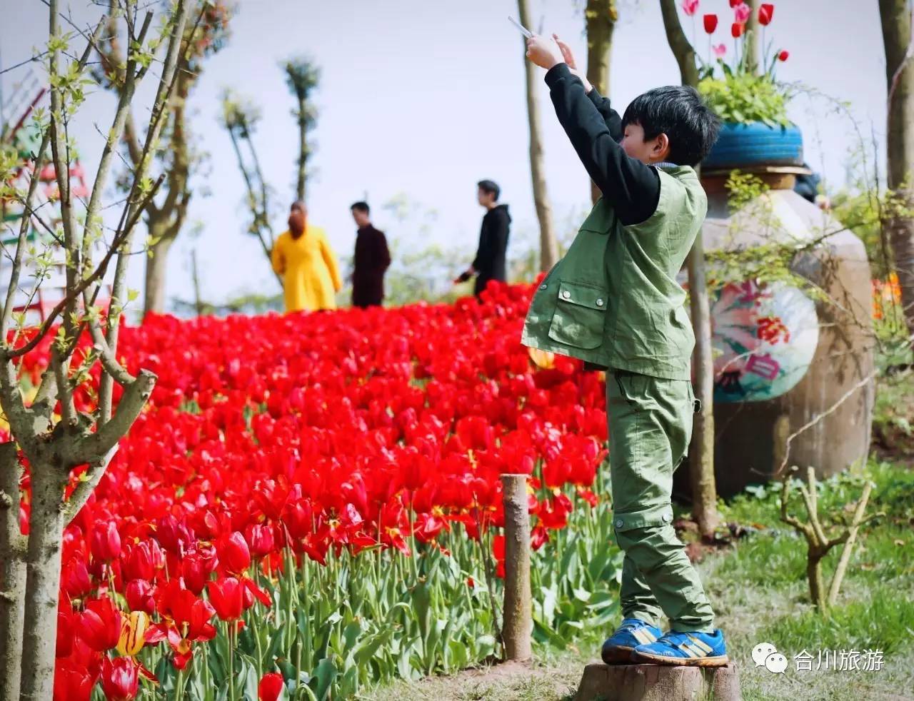 合川友军生态园图片