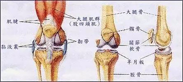 练瑜伽保护好膝盖不仅仅是膝盖上提那么简单