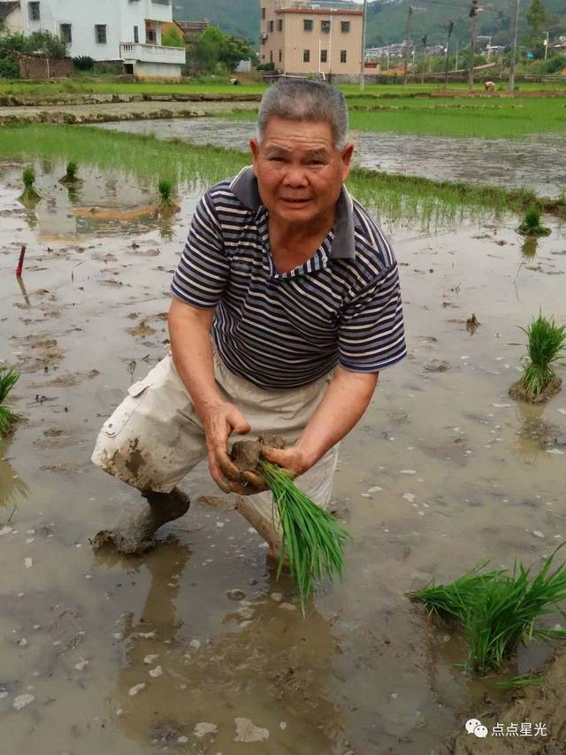 大汉干了小汗来看广东梅县大坪的农民传统种田