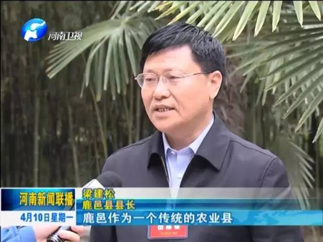 鹿邑县县长现任图片