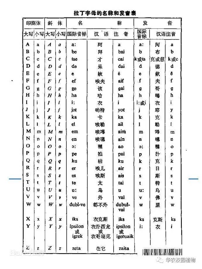 拉丁文字符号大全图片