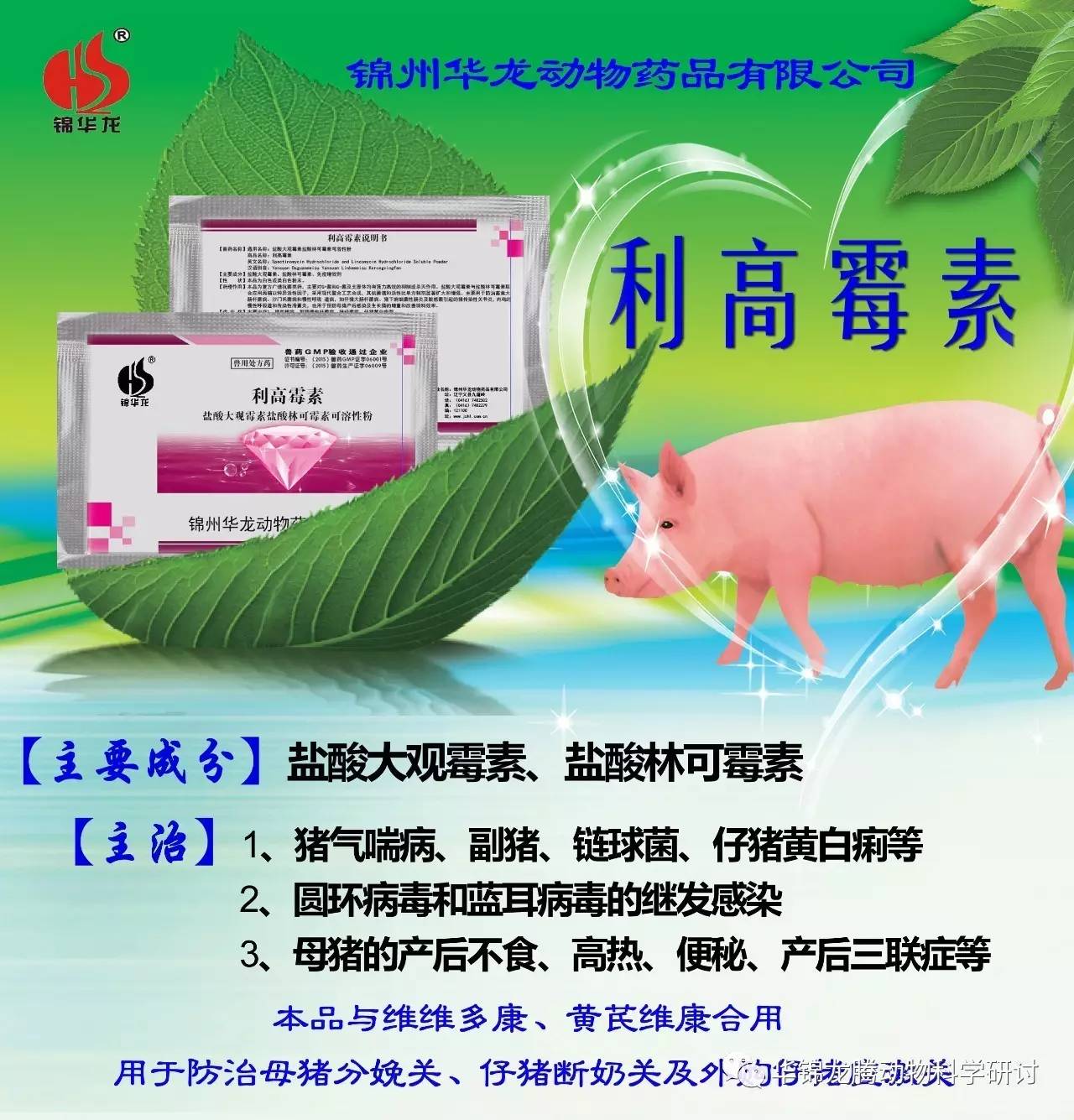 猪有螨虫用什么药图片图片