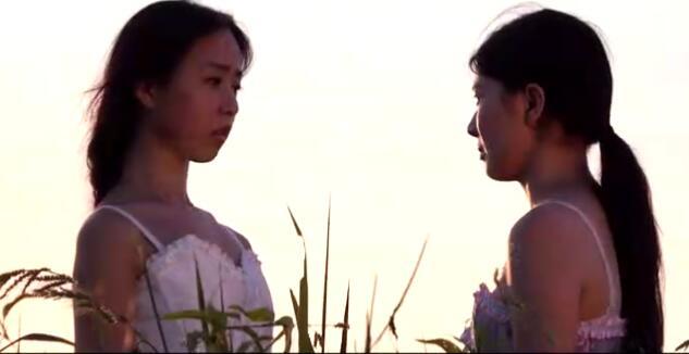 简直就是中国版《桑格莉之夏》的即视感的确,虽然《少女百合》的正剧