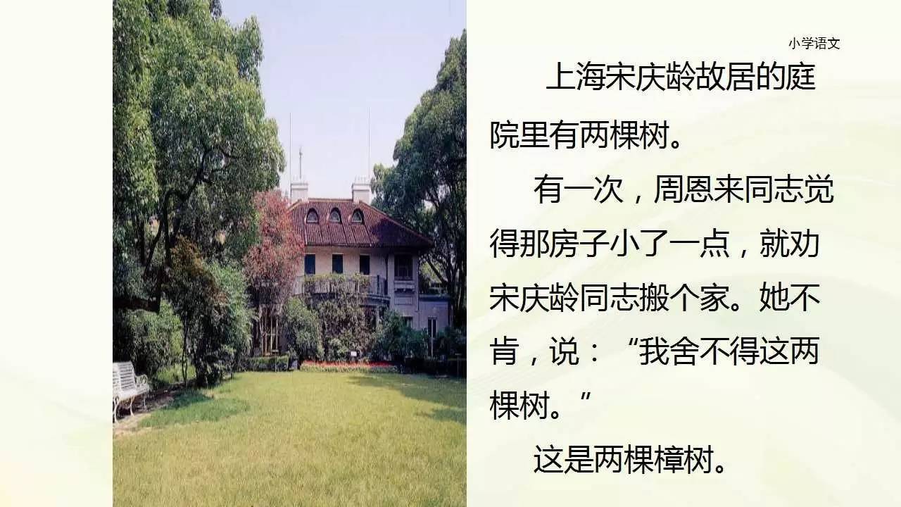 "苏教版四年级下册宋庆龄故居的樟树"即可收到文章ppt文件下载链接