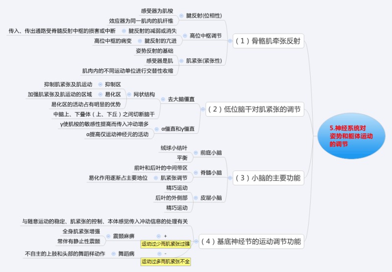 河北医学专接本生理学各系统思维导图图片版