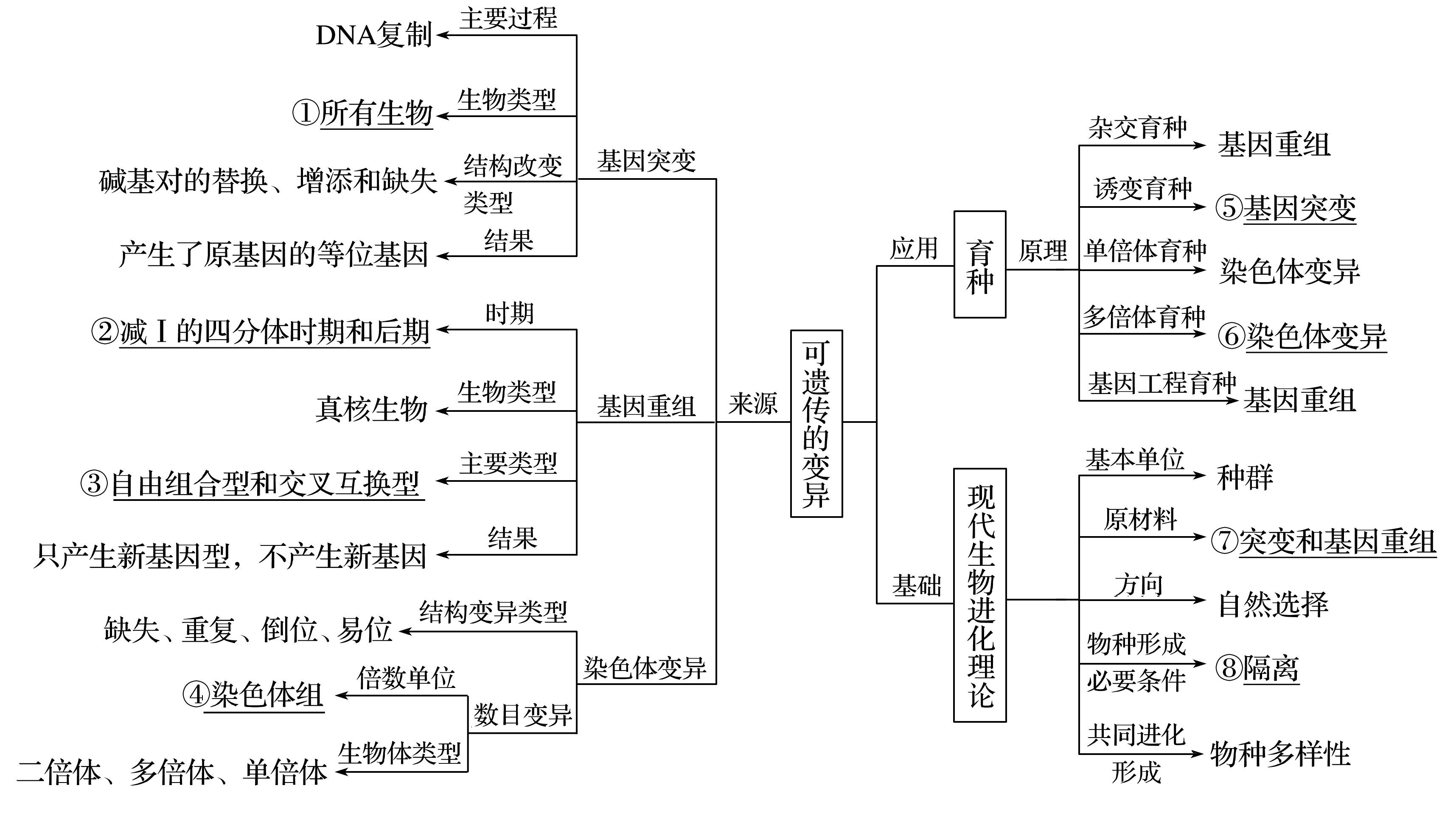 生物重难点二遗传与进化详解