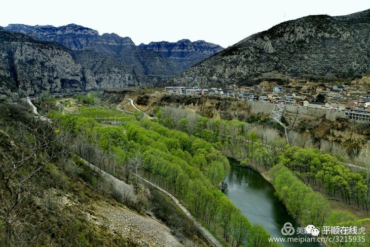 走遍平顺阳高乡奥治村的春天