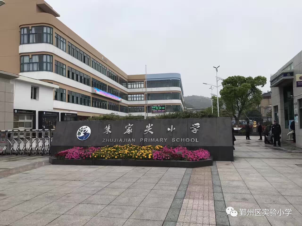 纳名校之见以厚己—记区实验小学组织导师赴朱家尖小学考察学习