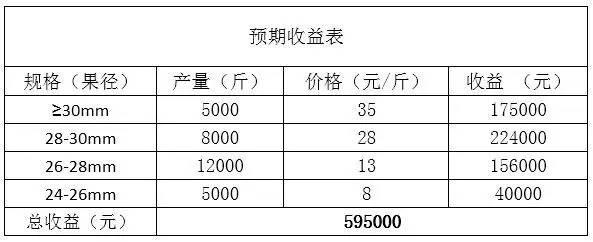 跟着ua(美联航)学习,我们农产品也能卖出高溢价