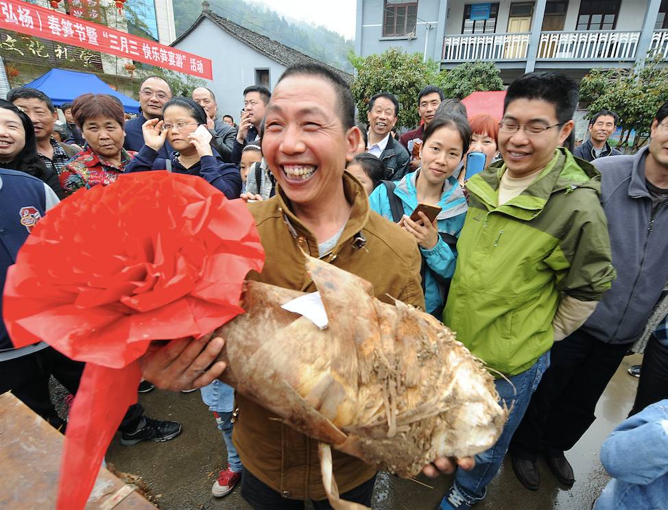 春风煮竹笋柔情漫山村挖笋采茶放牛耕田弘扬村里赴春之约