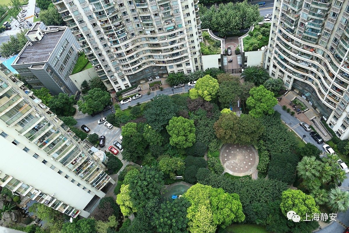 静安华庭(壹街区)作为市级文明小区,环境整洁优美,管理规范有序,综合