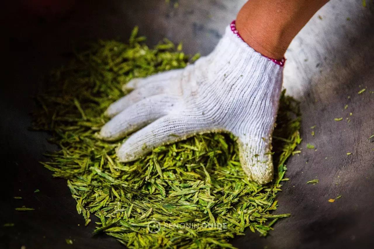 到最终辉锅,翠绿的茶叶在12小时内完成了蜕变,最后是一小袋鲜灵的龙井