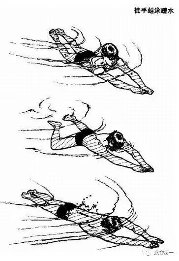 初学蛙泳的技法练习第三讲
