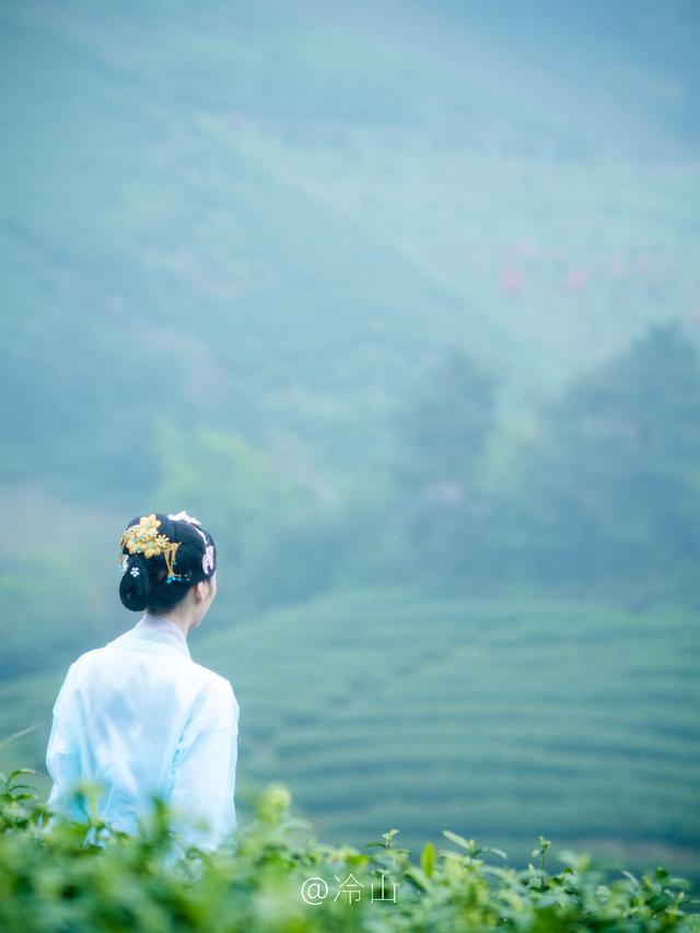 四月天目湖,烟雨中最美的采茶女