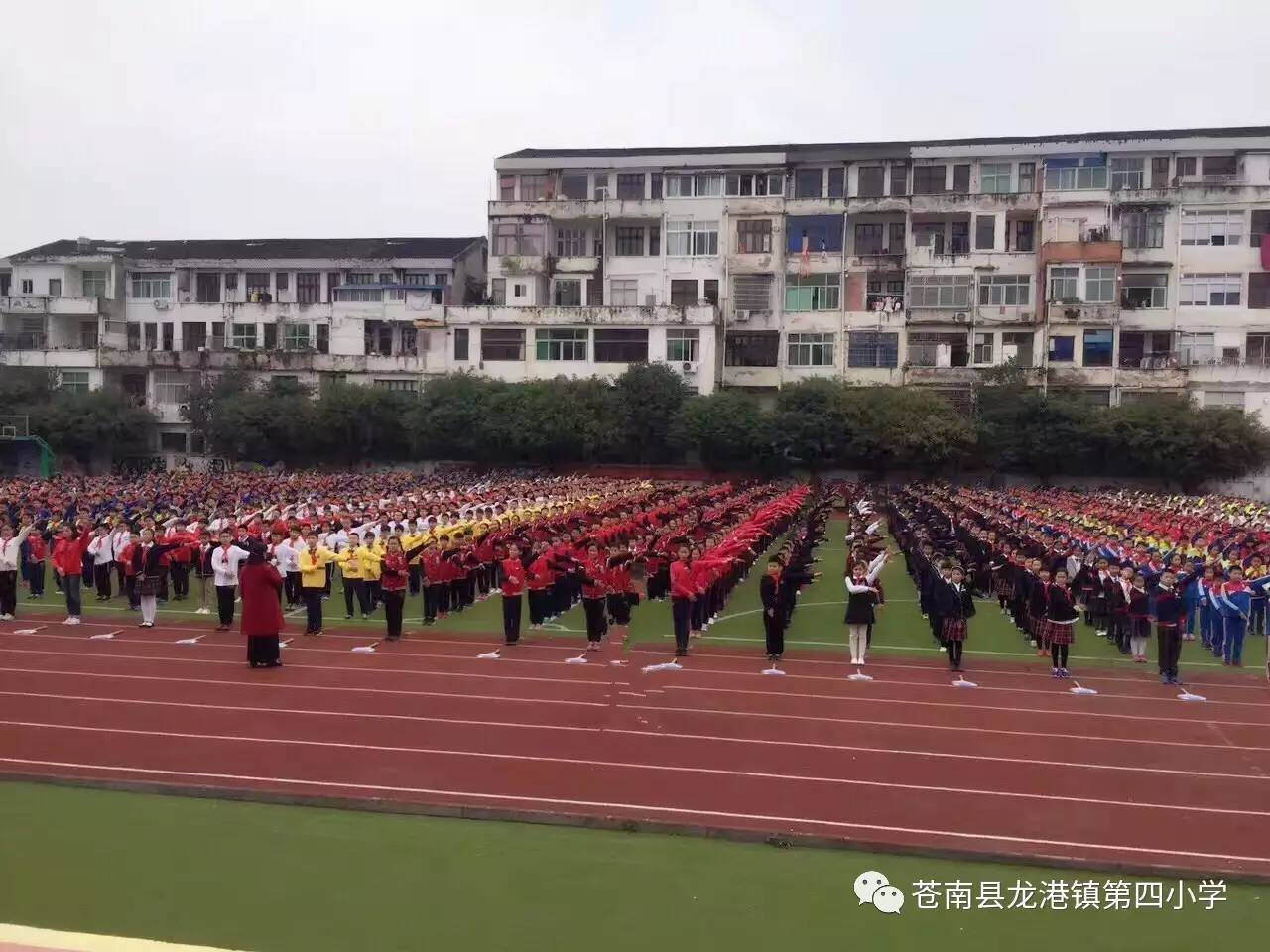 榕园体韵韵动希望的风帆记龙港四小参加龙港学区广播体操比赛掠影