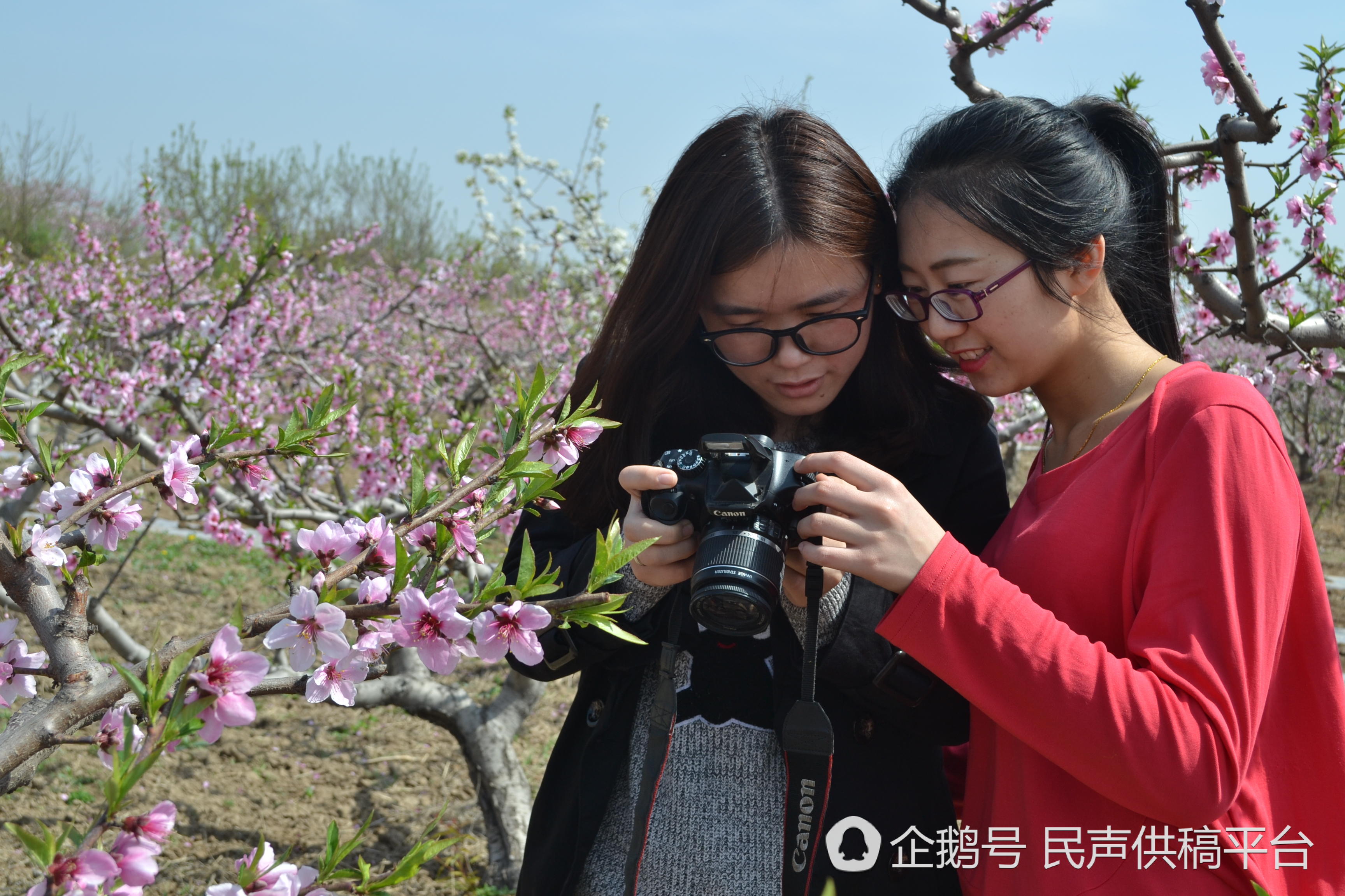 滨州无棣出美女图片