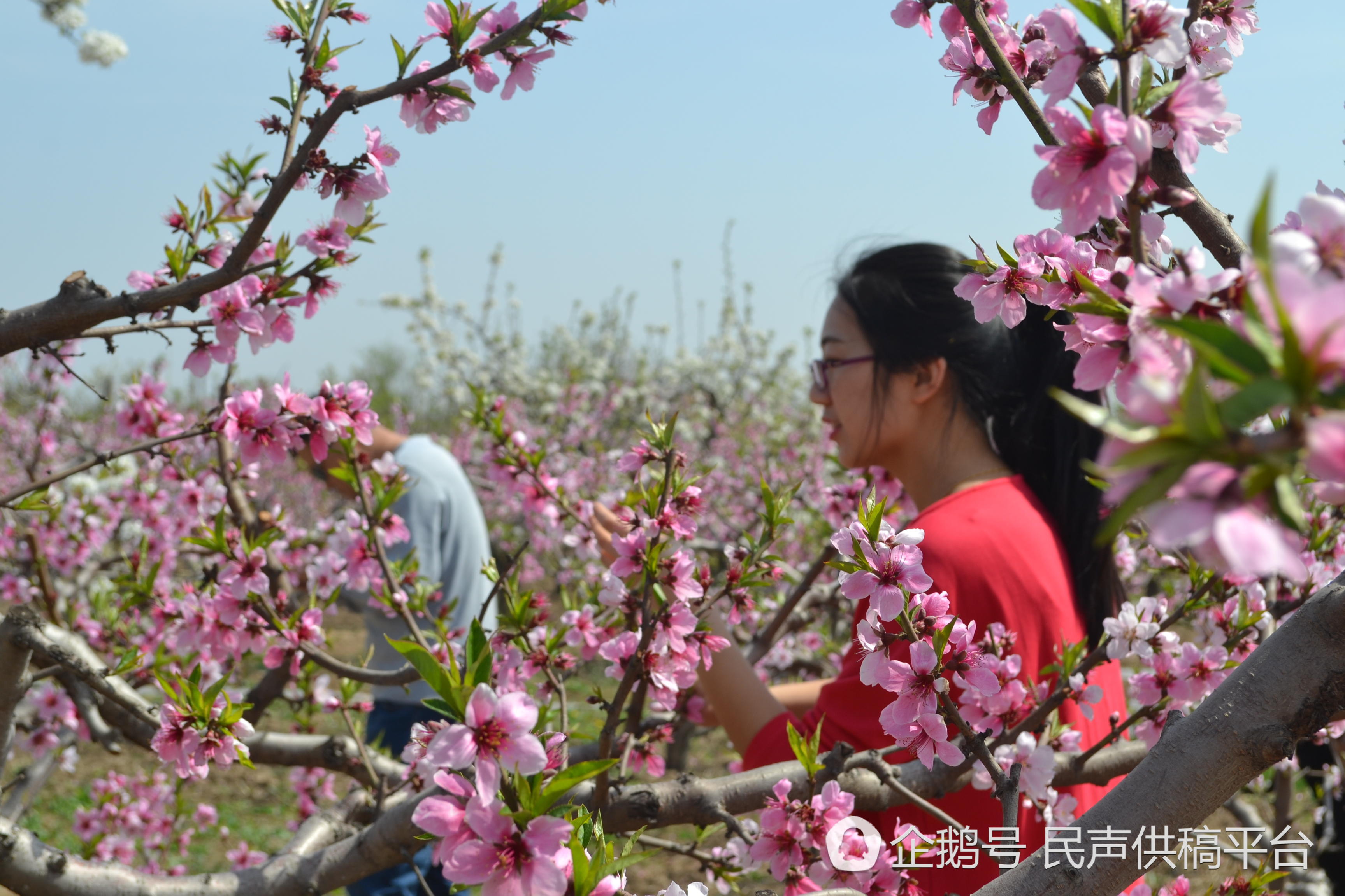 滨州无棣出美女图片