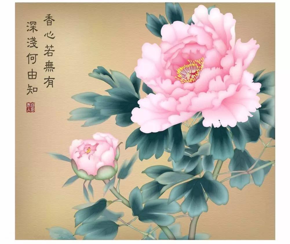 唐朝国花图片
