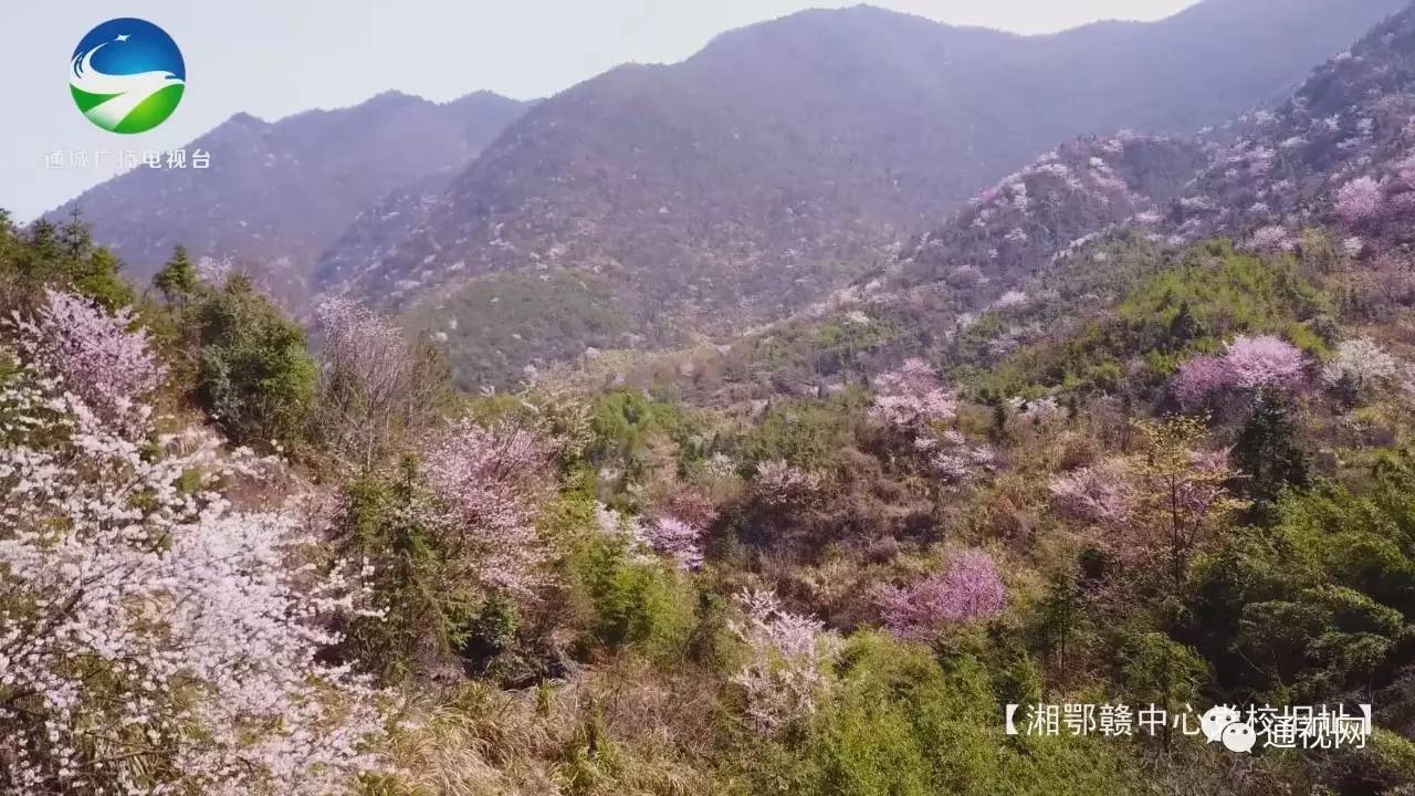 黄袍山,又名盘古大山,大盘山,仙圣山等,地处鄂赣二省交界,位于湖北省