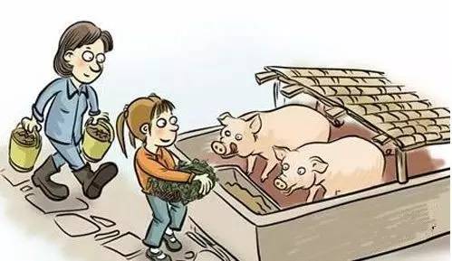 猪舍卡通图片