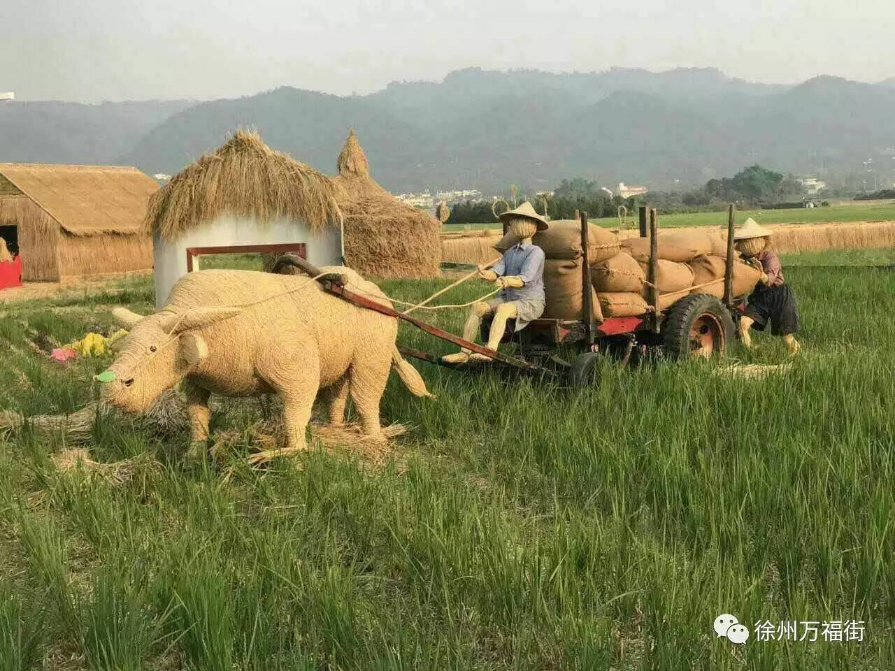 可爱的稻草人来啦文末有福利