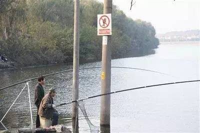 偷钓鱼触碰高压线图片
