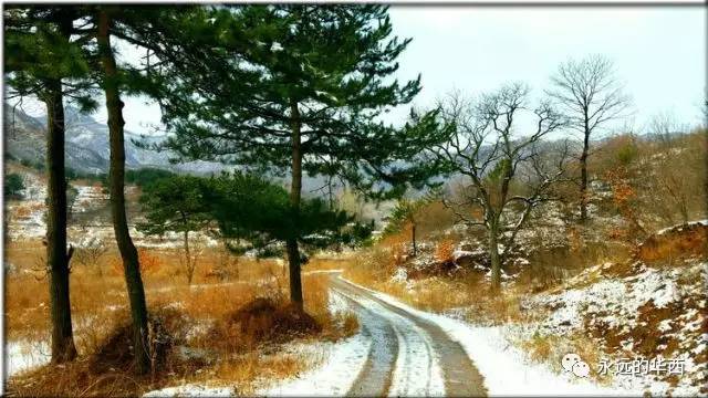 行人日暮少,风雪乱山深.晨起开门雪满山,雪晴云淡日光寒.