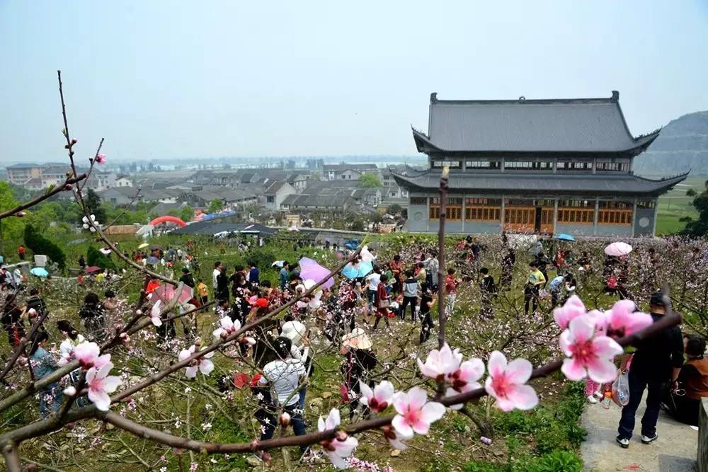 第二届仙口村桃花旅游文化节隆重开幕,精彩不容错过!