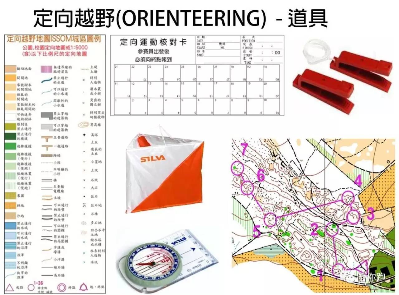 体力与脑力的结合——定向越野