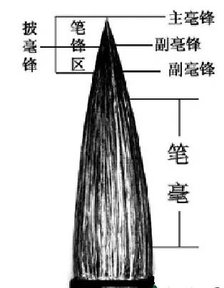 深度解读书法笔锋纯干货