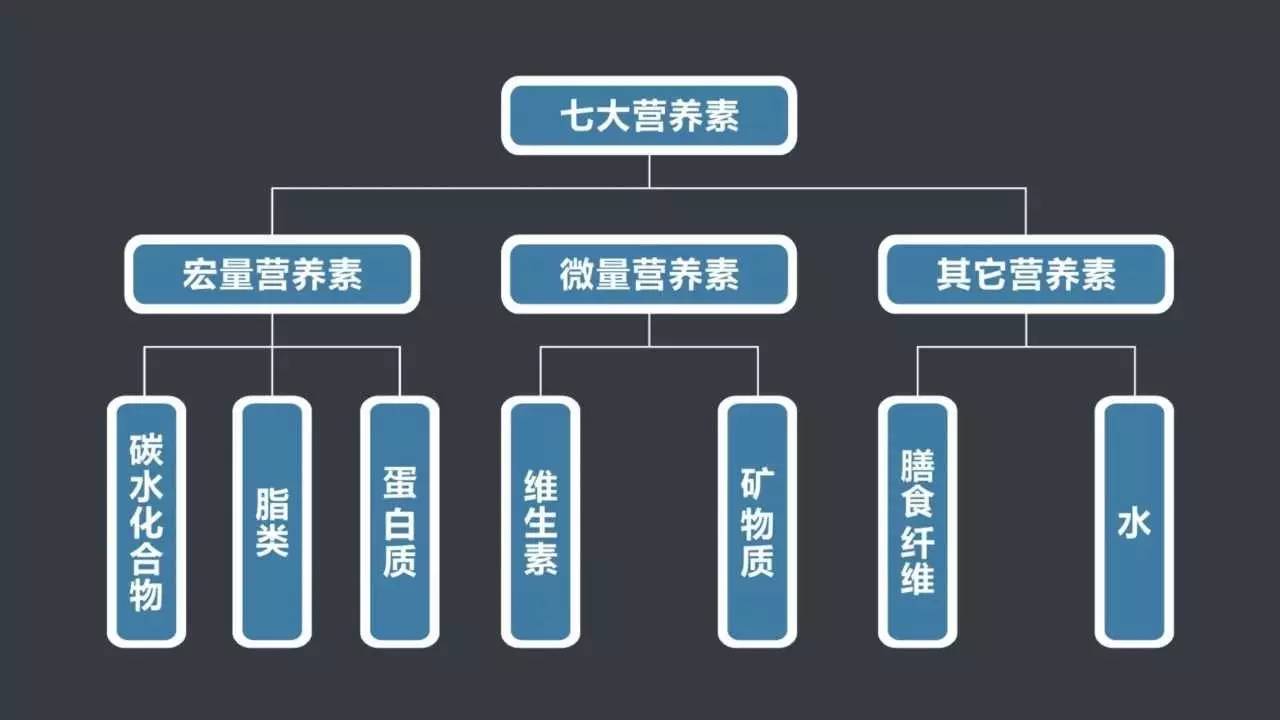 人体所必需的营养素有有7大类:蛋白质,脂类,糖类,维生素,水和无机盐