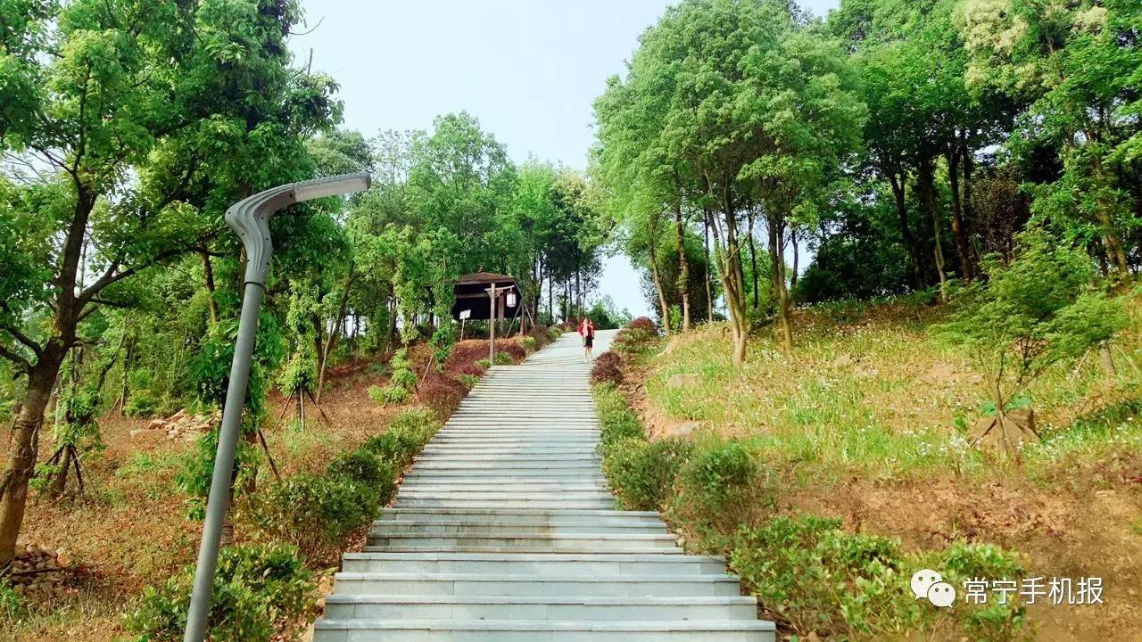 砚池山公园图片