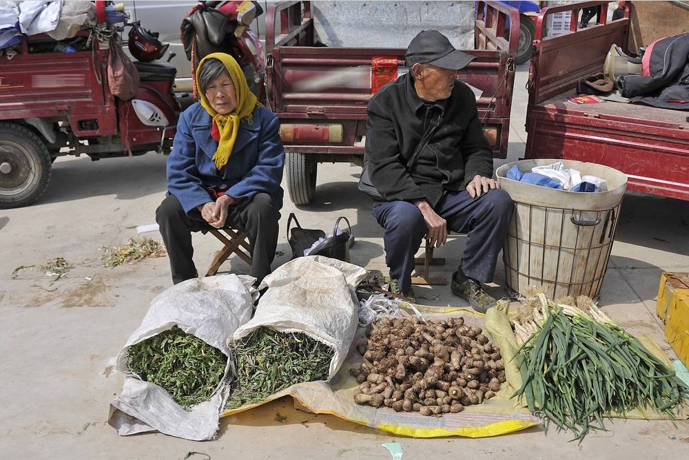 【农村大集】农村老年夫妻赶集卖野菜,辛苦半天只挣16块!