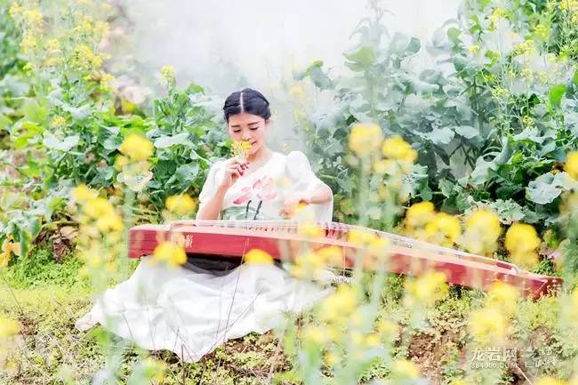 图集油菜花田古筝美女漫步花间