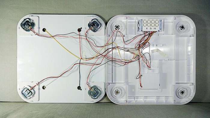 电子秤内部图图片