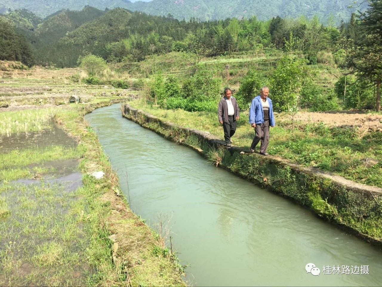 全州有條小水渠 20年淹死上百頭牛