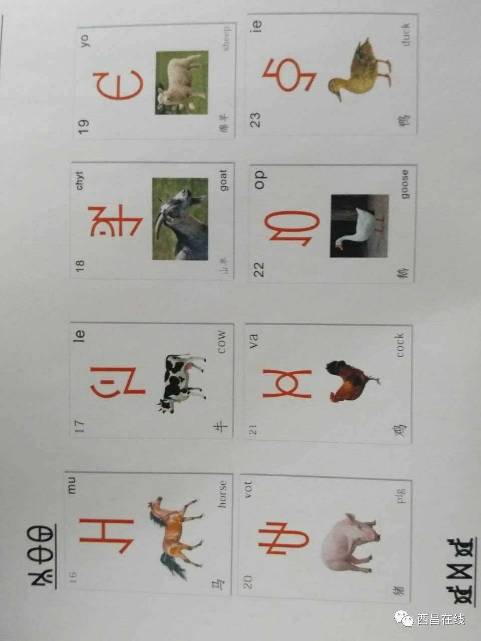 彝语拼音图片