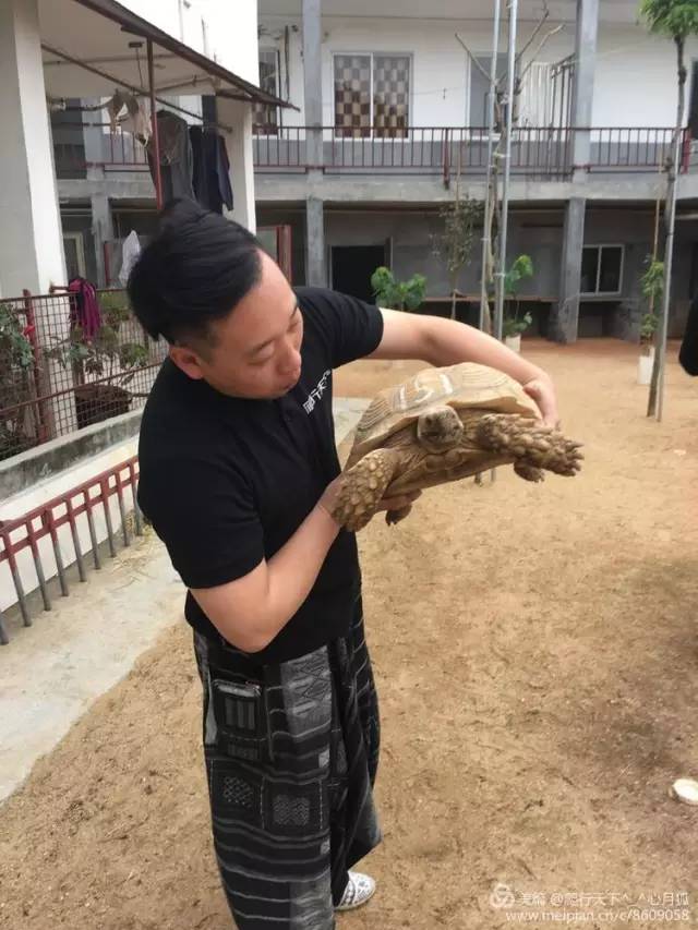 顺泰陆龟养殖基地图片