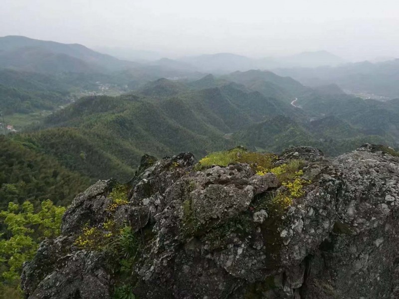 上栗斑竹山简介图片