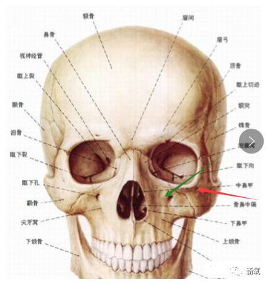 金星老师医美讲堂张天爱为何不如其他女星保鲜