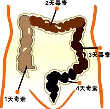 抗毒素和类毒素的区别