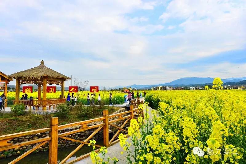 稻田公园位于湖南省安仁县永乐江镇东南部,是我国目前唯一的集生态