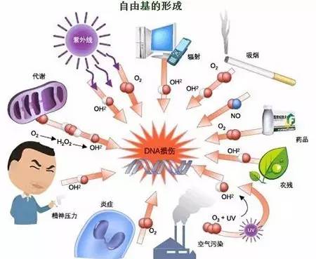 抗毒素和类毒素的区别