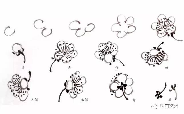 花朵简笔画 梅花步骤图片