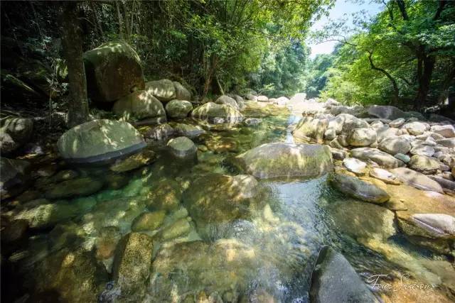 【五一纯玩团】佛冈英伦小镇 龙潭小寨 观音山风景区 田野绿世界自驾2