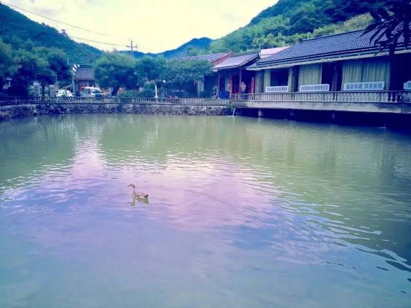 08河道起讫点:光明水库坝下—始丰溪汇合口苍山倒溪(县级河道)苍山倒