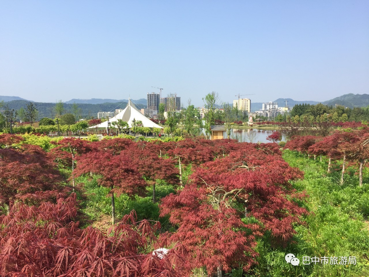 清江七彩世界七彩世界森林康养基地位于巴中市东部重镇清江镇街道东侧