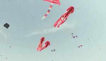 动图展示彩鸢齐舞 圆梦滨海 第13届世界风筝锦标赛的那些精彩
