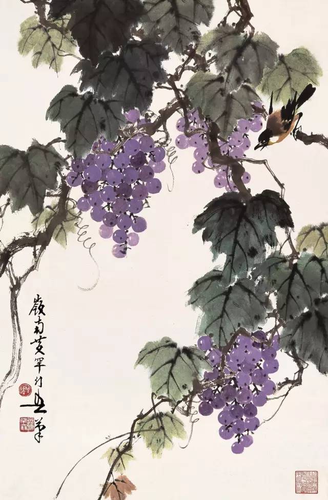 这花鸟画,清新,去除俗气!