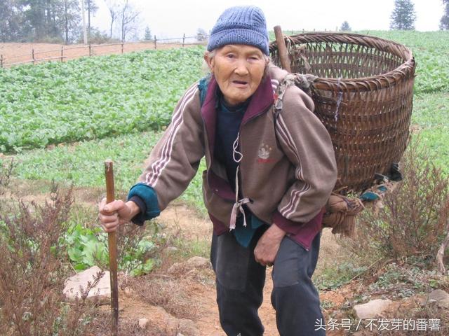 一組農村空巢老人的照片,生活狀況令人心酸